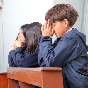 Educación Básica Superior